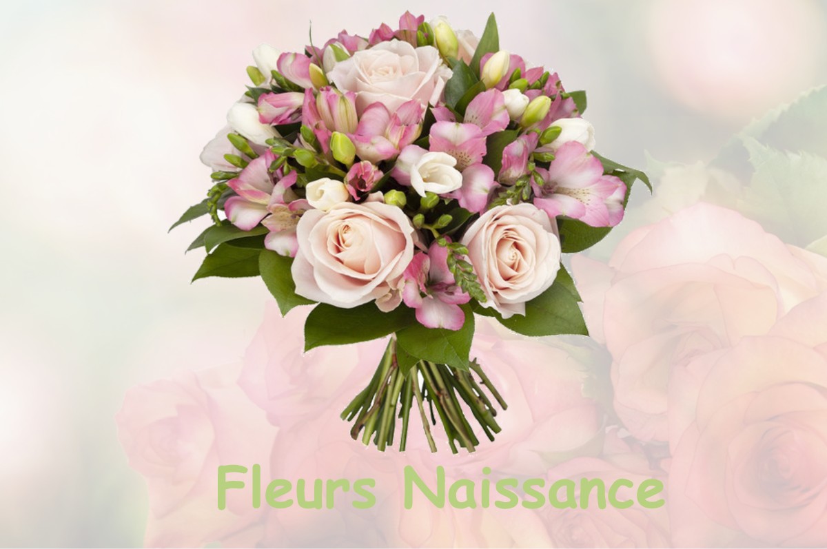 fleurs naissance VILLE-D-AVRAY