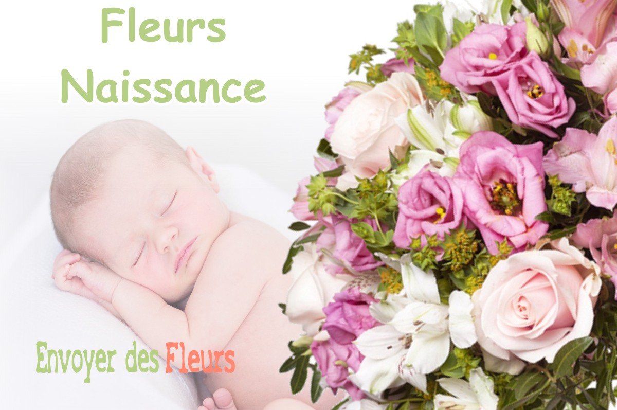 lIVRAISON FLEURS NAISSANCE à VILLE-D-AVRAY