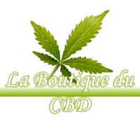 LA BOUTIQUE DU CBD VILLE-D-AVRAY 